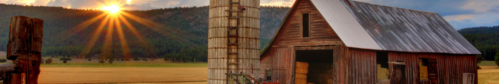 Ohio TDDD (Terminal Distributors of Dangerous Drugs) - MedPro Systems