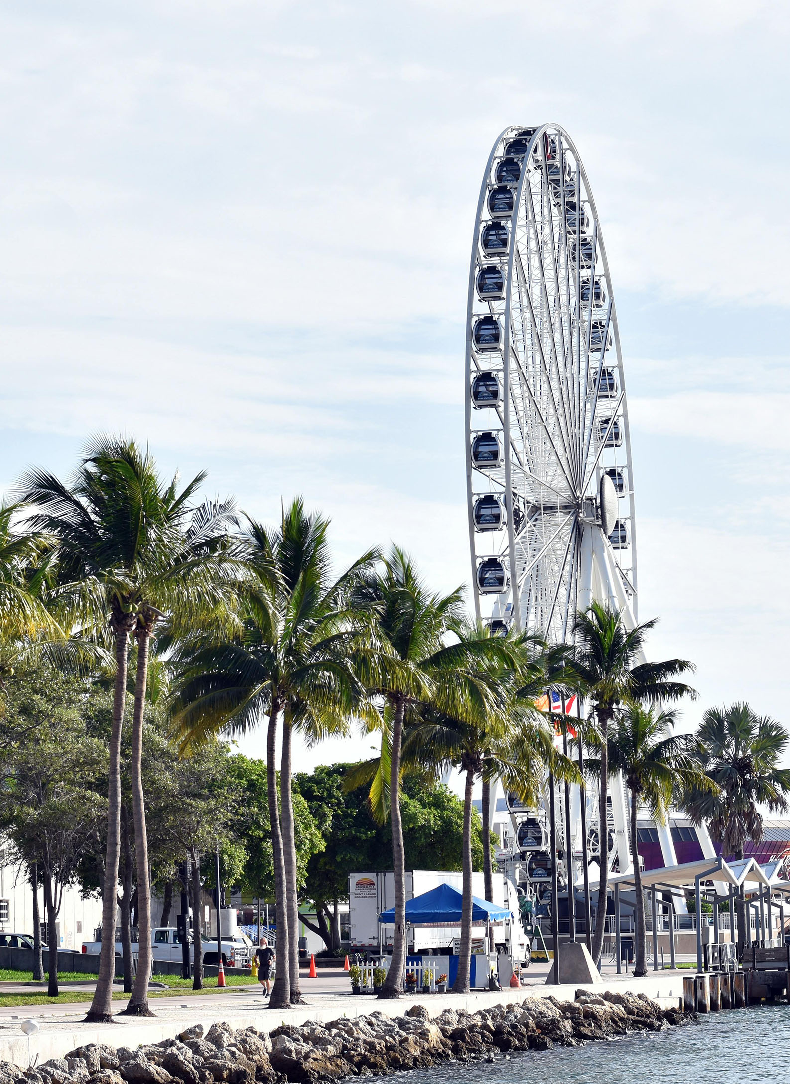 Florida City Landscape