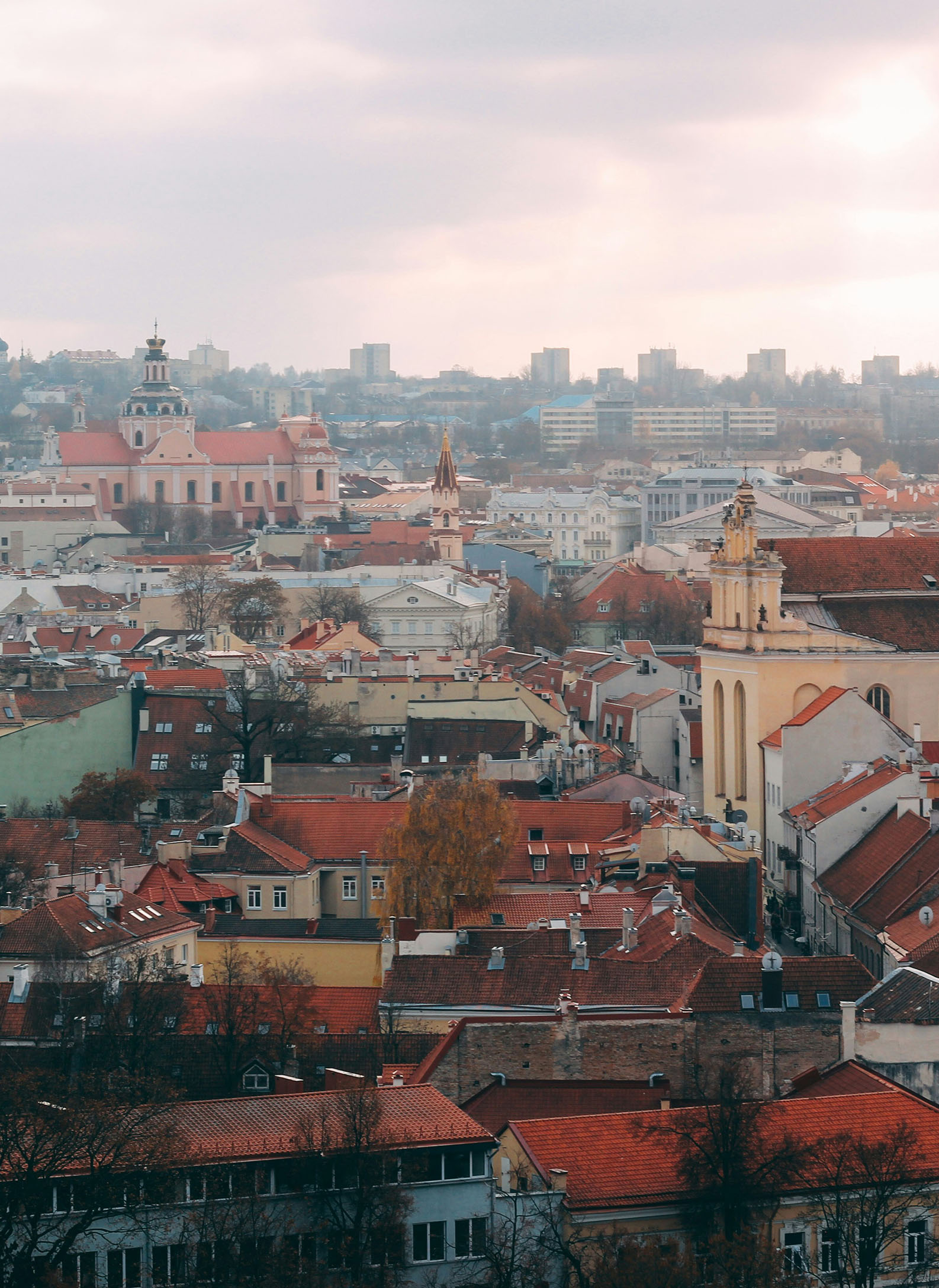 Lithuania Skyline