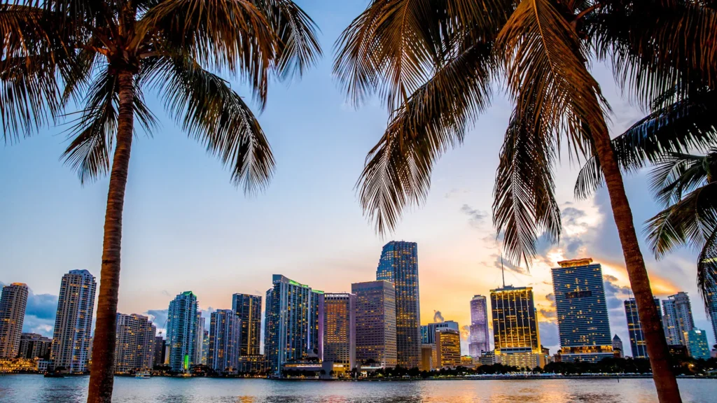 Miami skyline framed by palm trees at sunset